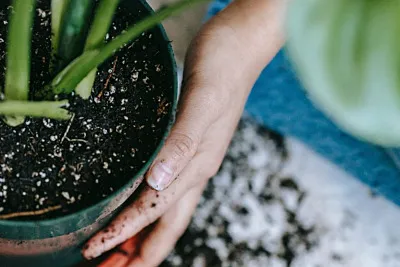 Fonteyn Tuinonderzoek 2023: Alles over de Nederlandse tuin!