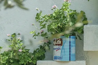 Sneek preview: dé 3 tuintrends voor 2024